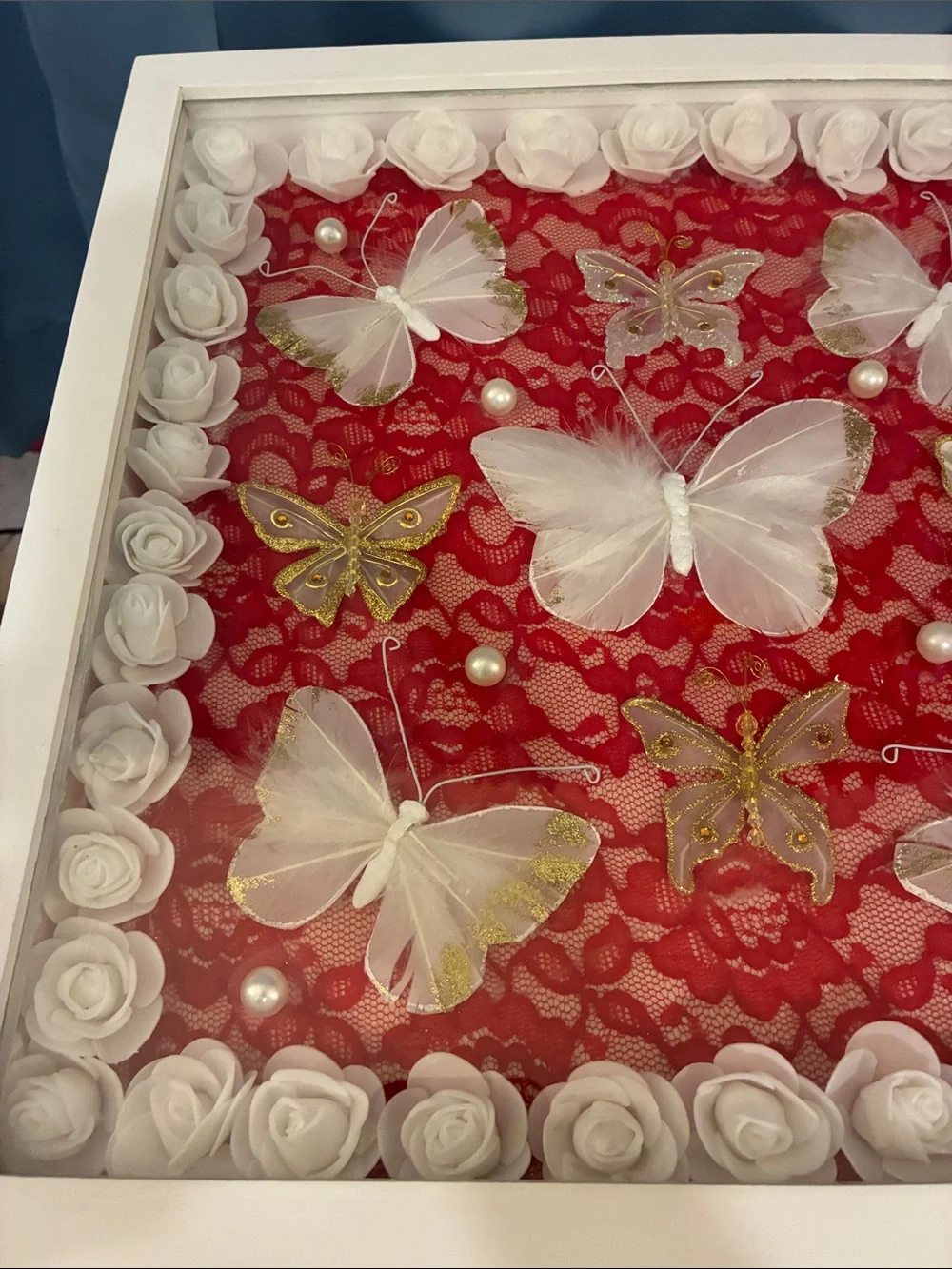 Hand Crafted White Butterfly Shadow Box Frame with Red Lace Backing